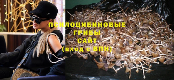 винт Богданович