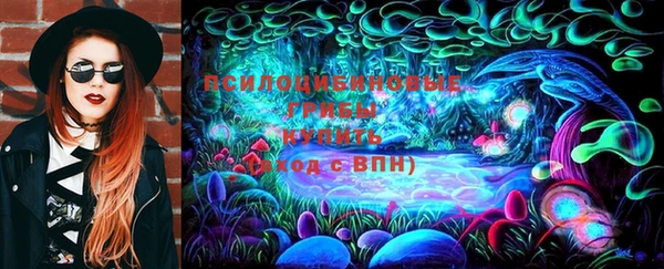 винт Богданович