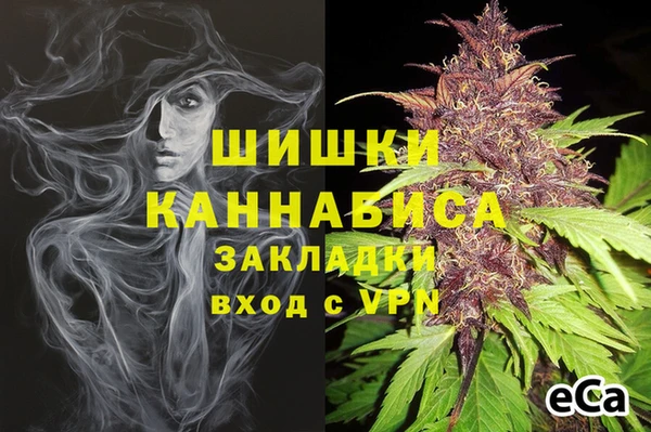 винт Богданович