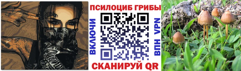 Галлюциногенные грибы Psilocybine cubensis  Давлеканово 